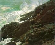 Winslow Homer High Cliff, Coast of Maine oil painting picture wholesale